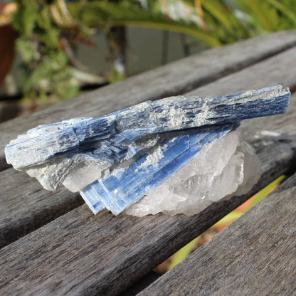 Kyanite blade cluster on clear Quartz 315g Rocks and Things