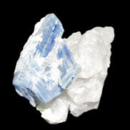 Kyanite blade cluster on Quartz 102*56*42mm 265g in sunlight - Rocks and Things Store