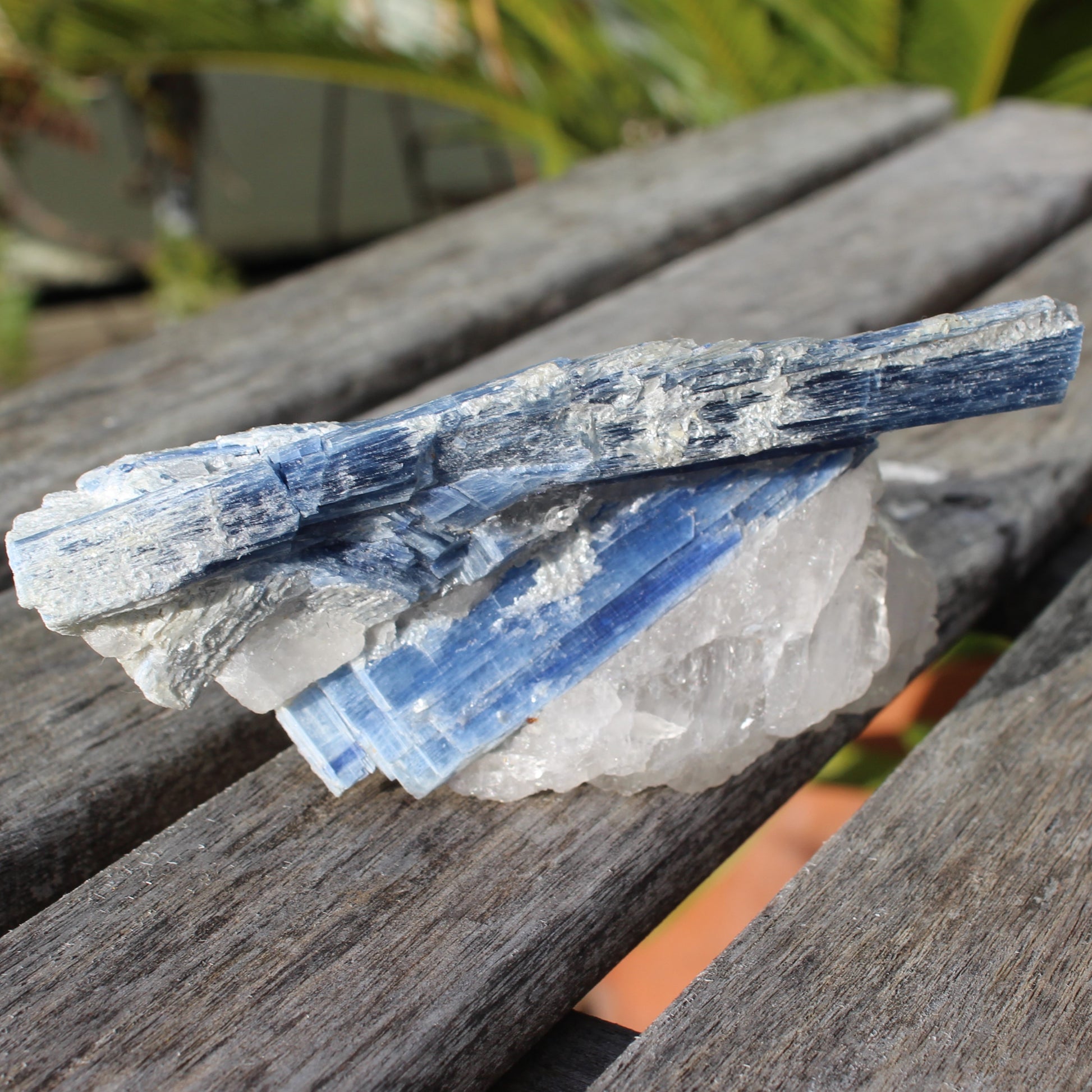 Kyanite blade cluster on clear Quartz 315g Rocks and Things