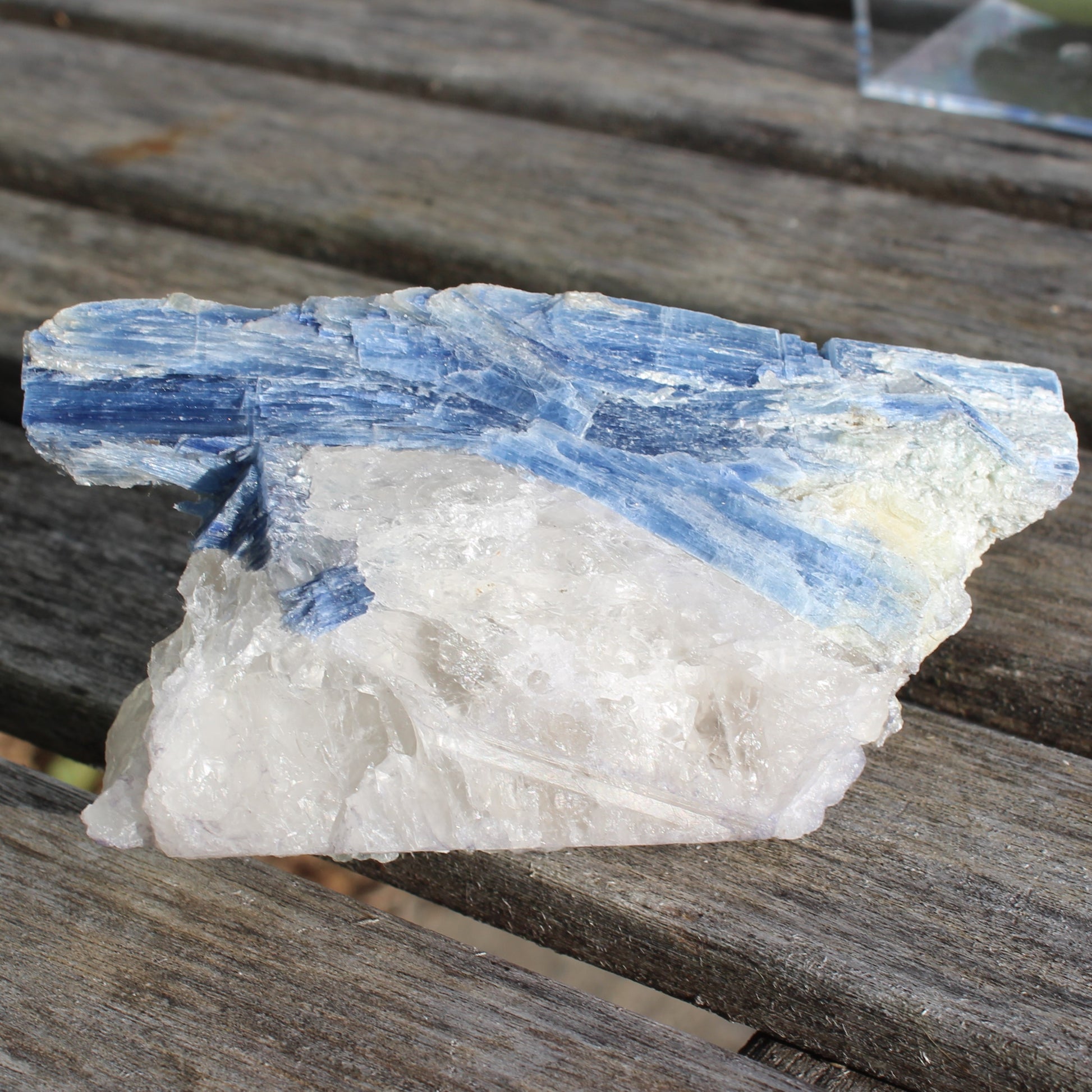 Kyanite blade cluster on clear Quartz 315g Rocks and Things