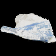 Kyanite blade cluster on Quartz 102*56*42mm 265g in sunlight - Rocks and Things Store