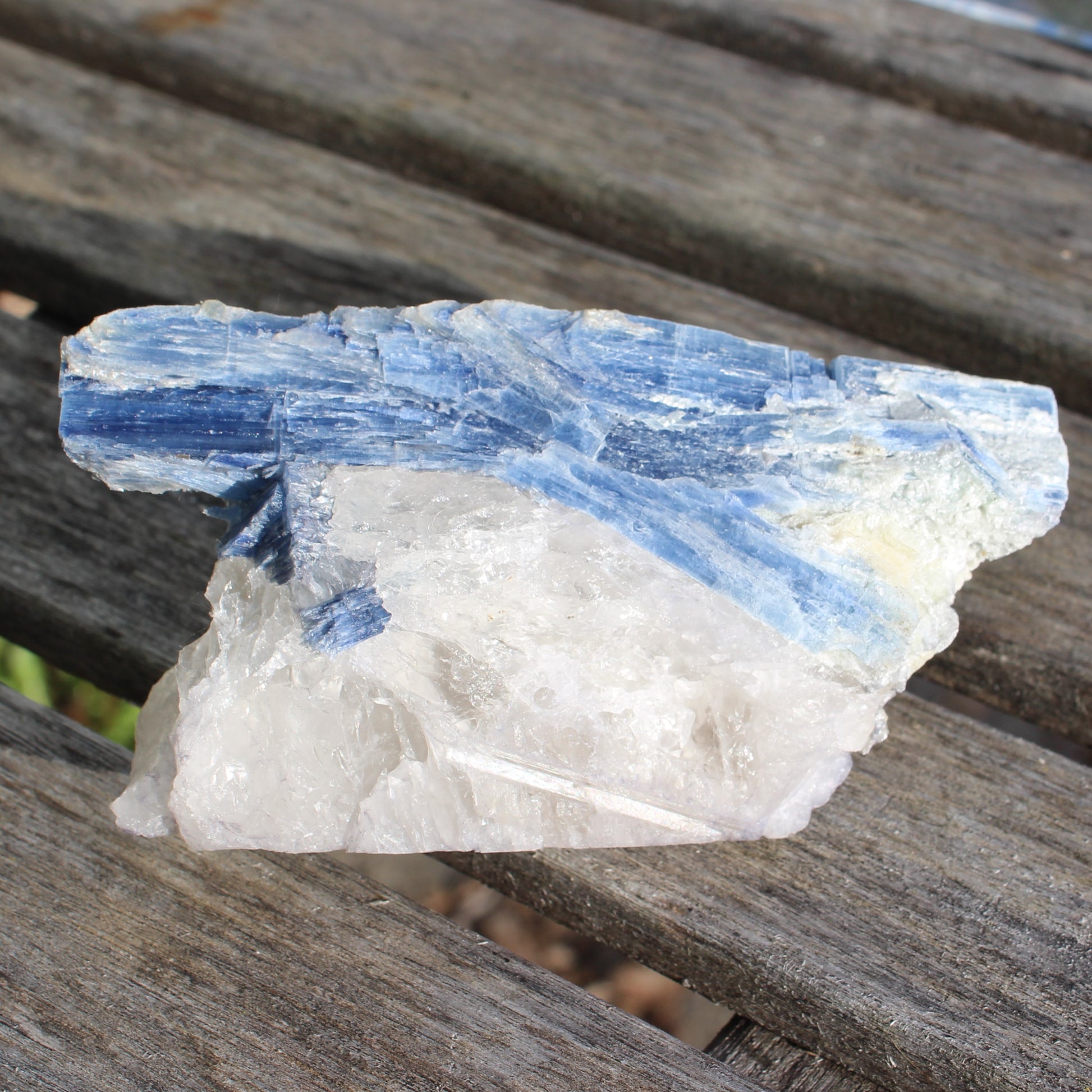 Kyanite blade cluster on clear Quartz 315g Rocks and Things