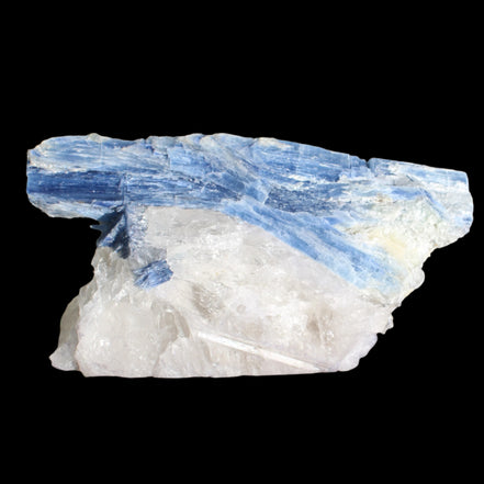 Kyanite blade cluster on clear Quartz 315g in sunlight - Rocks and Things Store