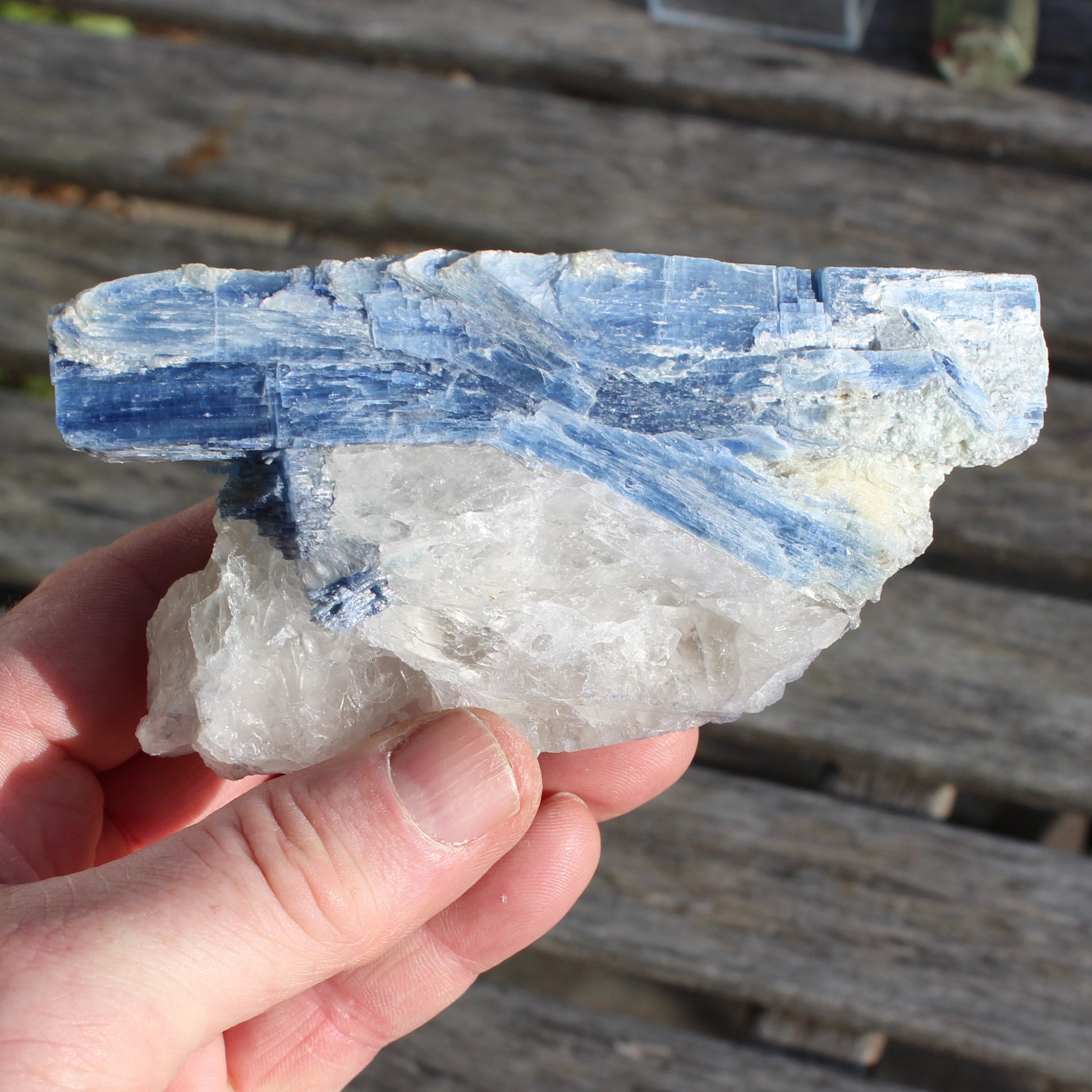 Kyanite blade cluster on clear Quartz 315g Rocks and Things