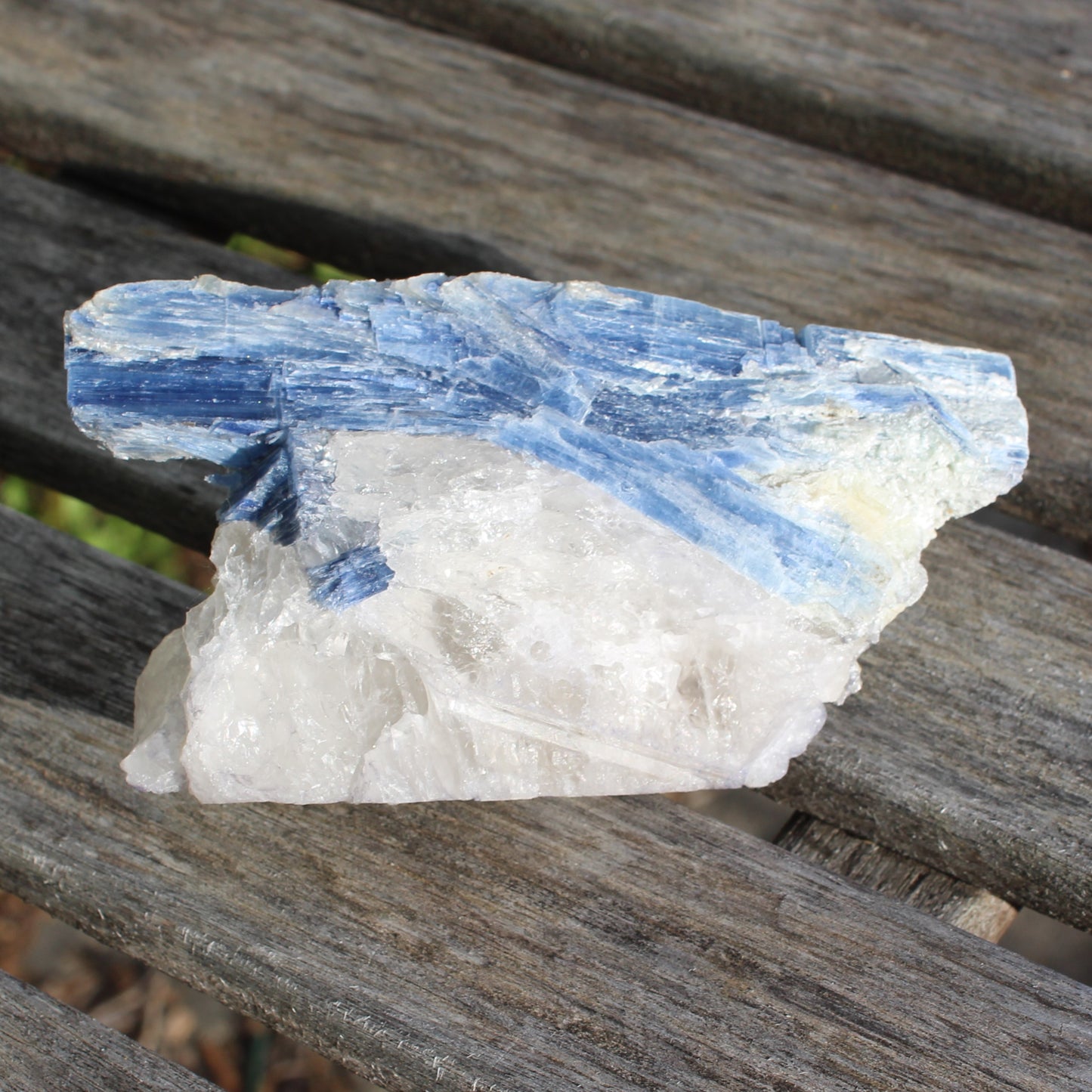 Kyanite blade cluster on clear Quartz 315g Rocks and Things