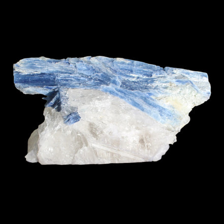 Kyanite blade cluster on clear Quartz 315g in sunlight - Rocks and Things Store