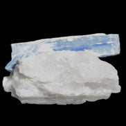 Kyanite blade cluster on Quartz 102*56*42mm 265g in sunlight - Rocks and Things Store