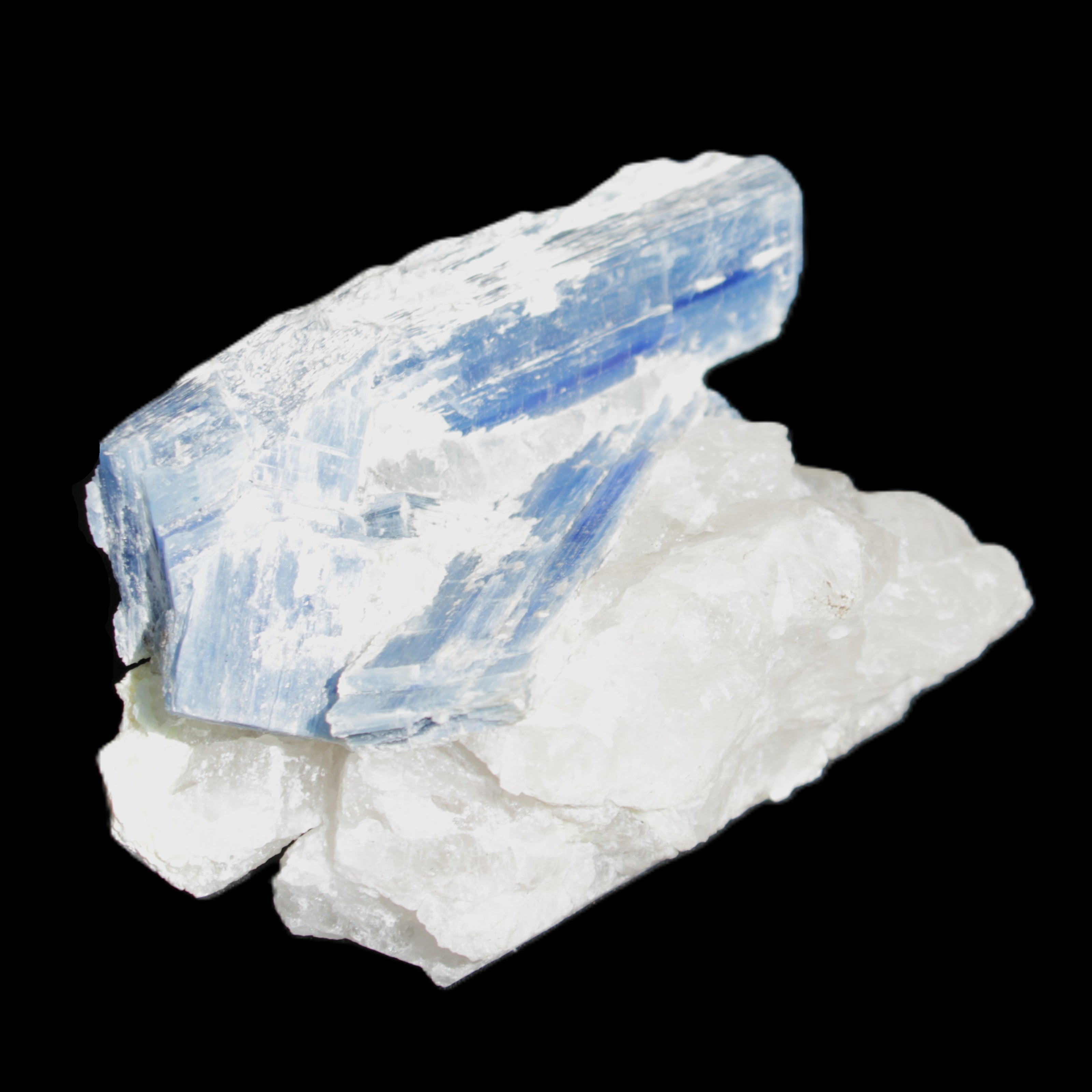 Kyanite blade cluster on Quartz 102*56*42mm 265g in sunlight - Rocks and Things Store