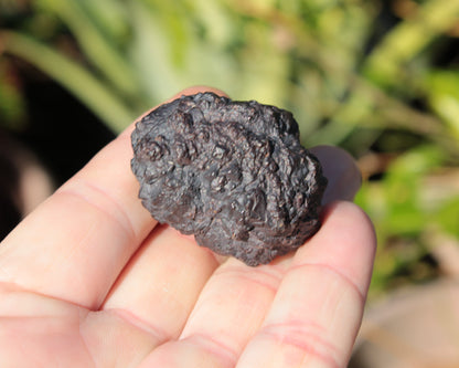 Carbonado Black Diamond from Egypt 75g Rocks and Things