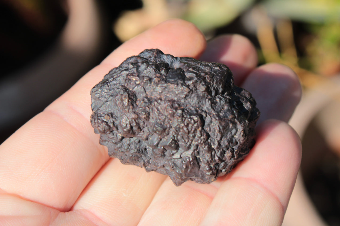 Carbonado Black Diamond from Egypt 75g Rocks and Things