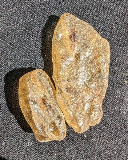 Amber with Cretaceous fossil ant 2 pieces 4-7g