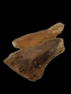 Amber with Cretaceous fossil ant 2 pieces 4-7g Rocks and Things