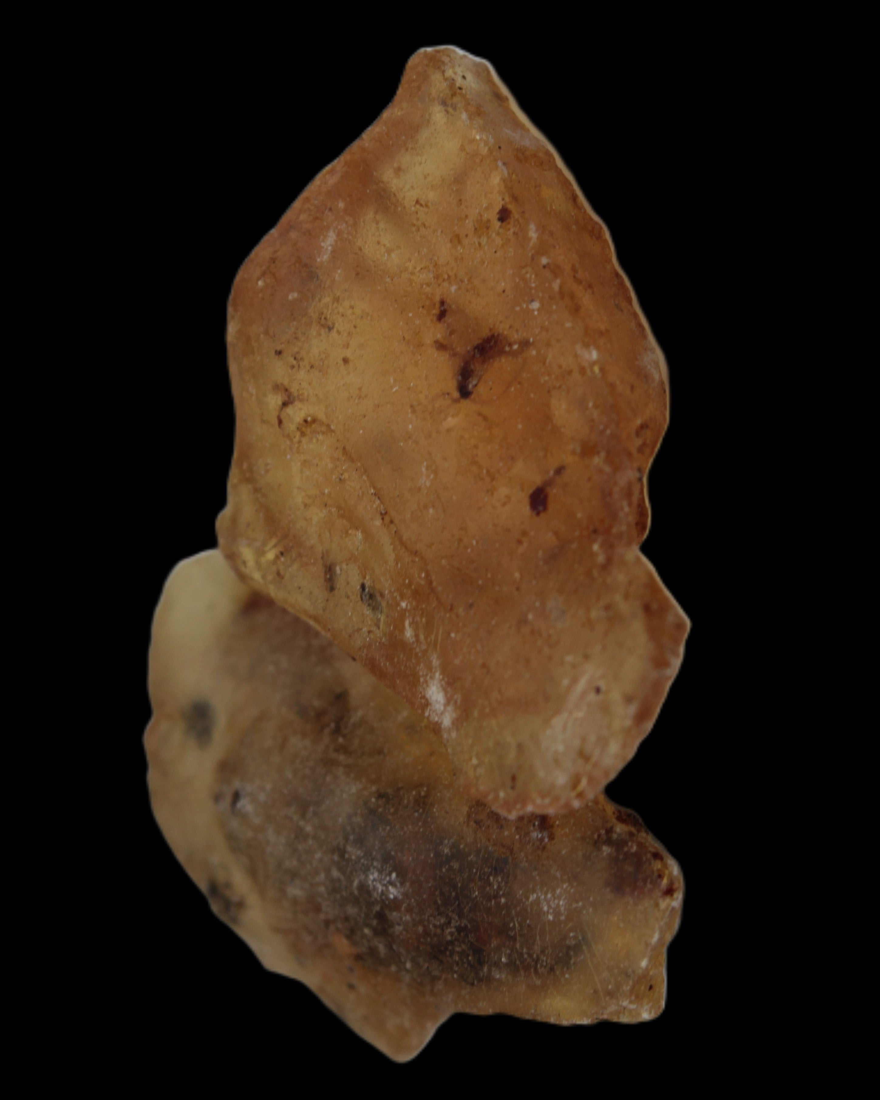 Amber with Cretaceous fossil ant 2 pieces 4-7g - Rocks and Things Store