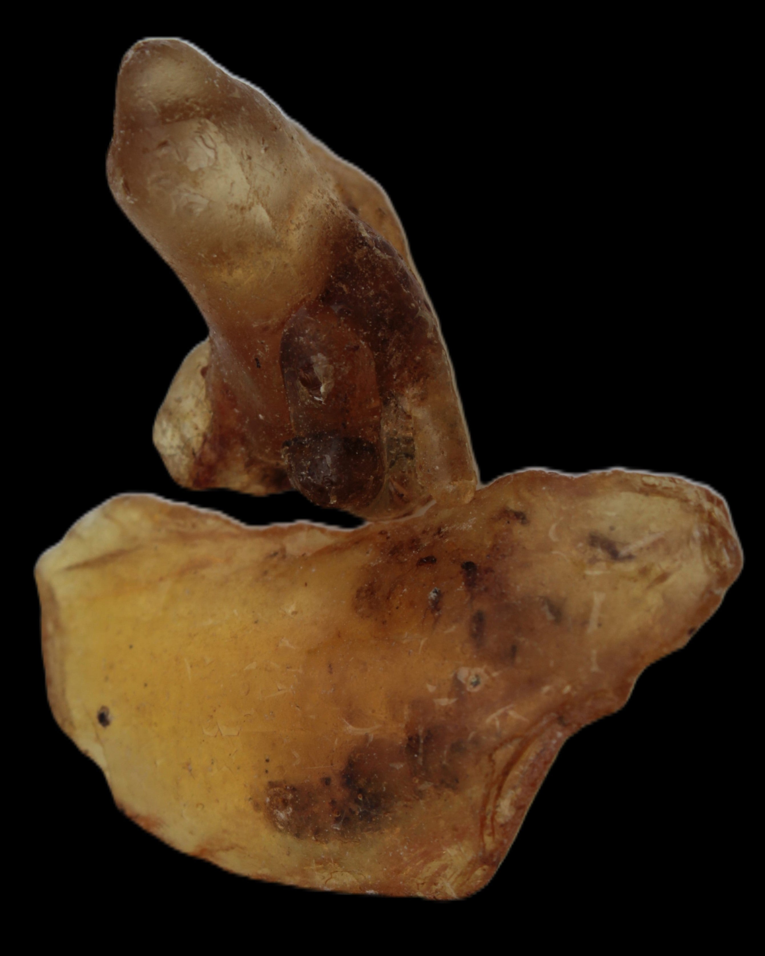 Amber with Cretaceous fossil ant 2 pieces 4-7g - Rocks and Things Store