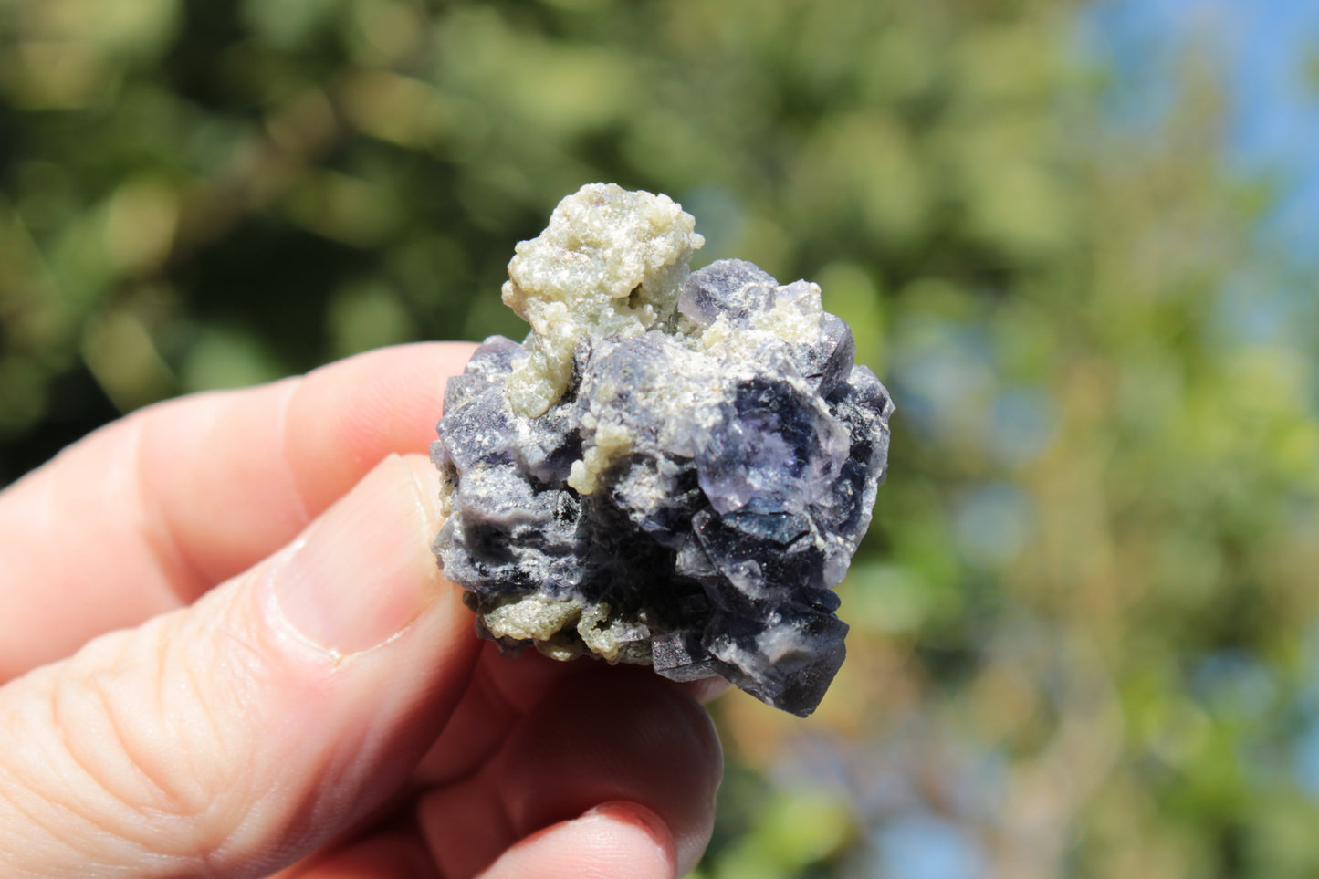 Blue phantom cubic Fluorite crystal with mica from China 31.5g Rocks and Things