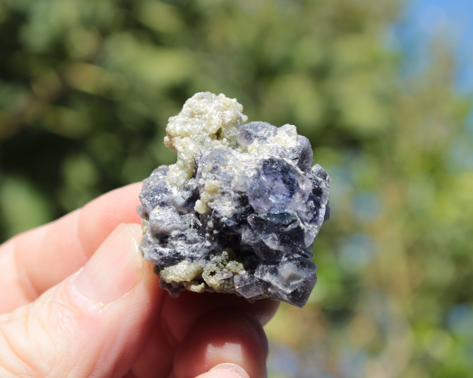 Blue phantom cubic Fluorite crystal with mica from China 31.5g Rocks and Things