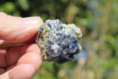 Blue phantom cubic Fluorite crystal with mica from China 31.5g Rocks and Things