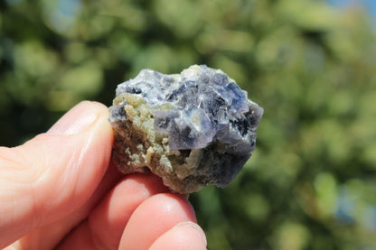 Blue phantom cubic Fluorite crystal with mica from China 31.5g Rocks and Things