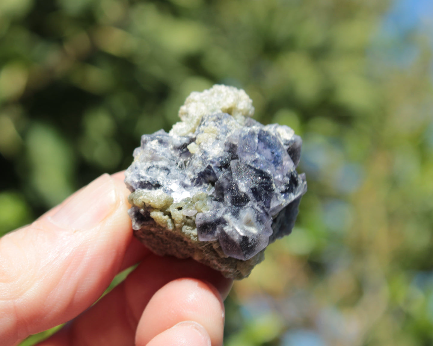 Blue phantom cubic Fluorite crystal with mica from China 31.5g Rocks and Things