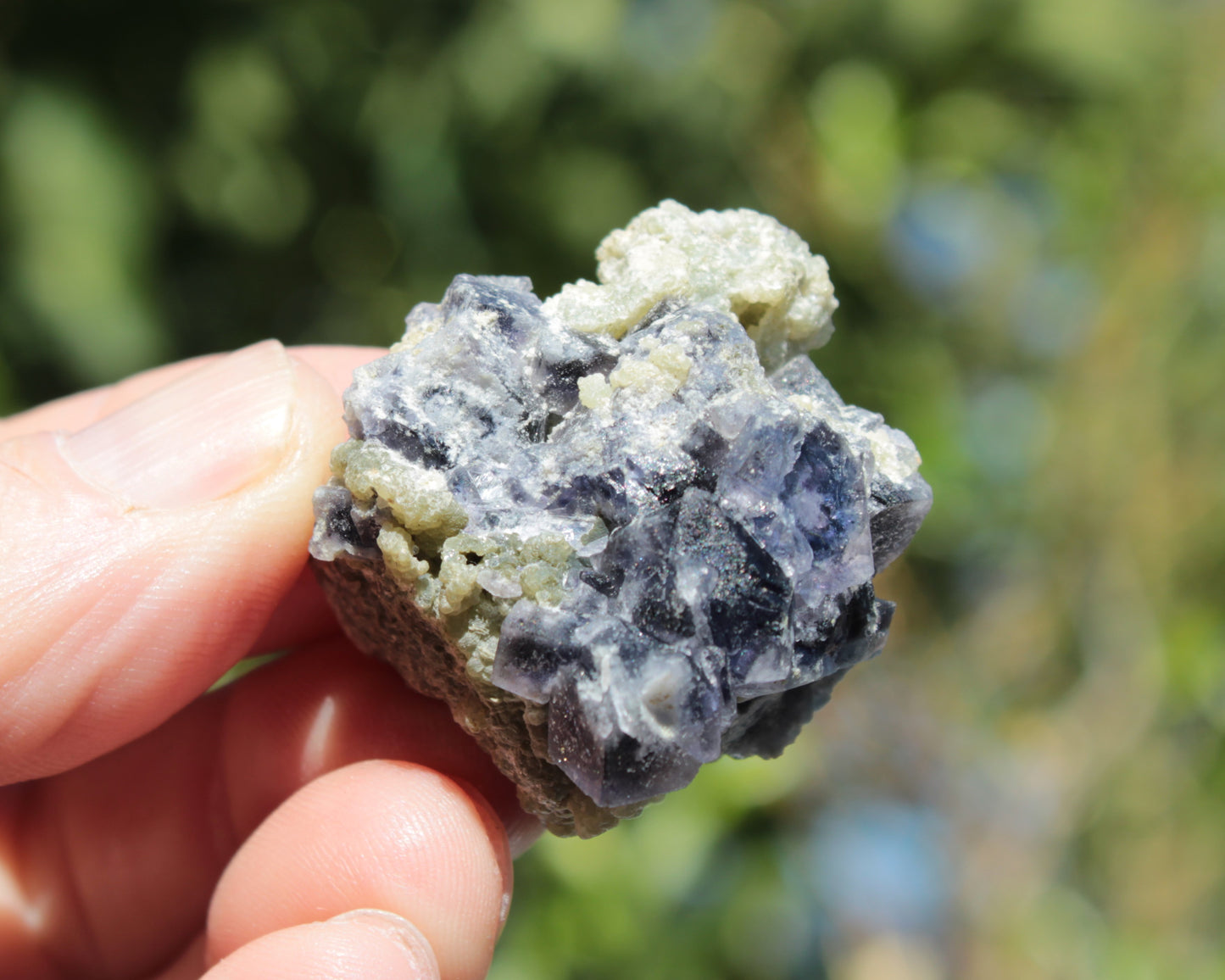 Blue phantom cubic Fluorite crystal with mica from China 31.5g Rocks and Things