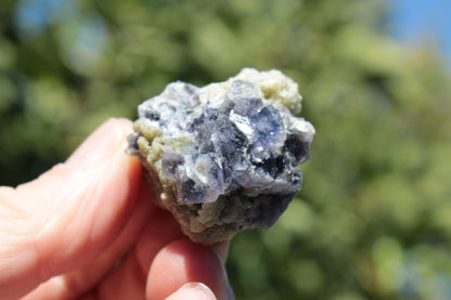 Blue phantom cubic Fluorite crystal with mica from China 31.5g Rocks and Things