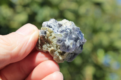 Blue phantom cubic Fluorite crystal with mica from China 31.5g Rocks and Things