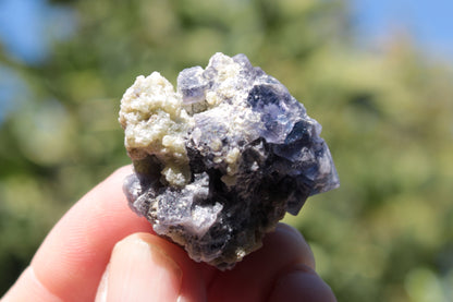 Blue phantom cubic Fluorite crystal with mica from China 31.5g Rocks and Things