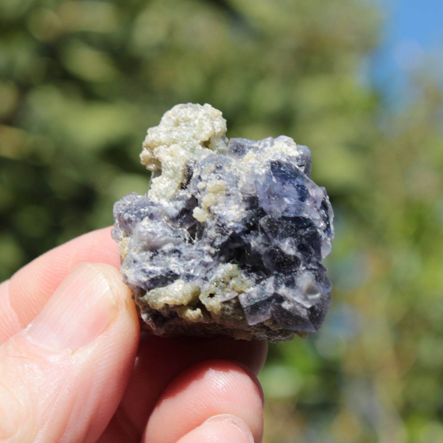 Blue phantom cubic Fluorite crystal with mica from China 31.5g Rocks and Things