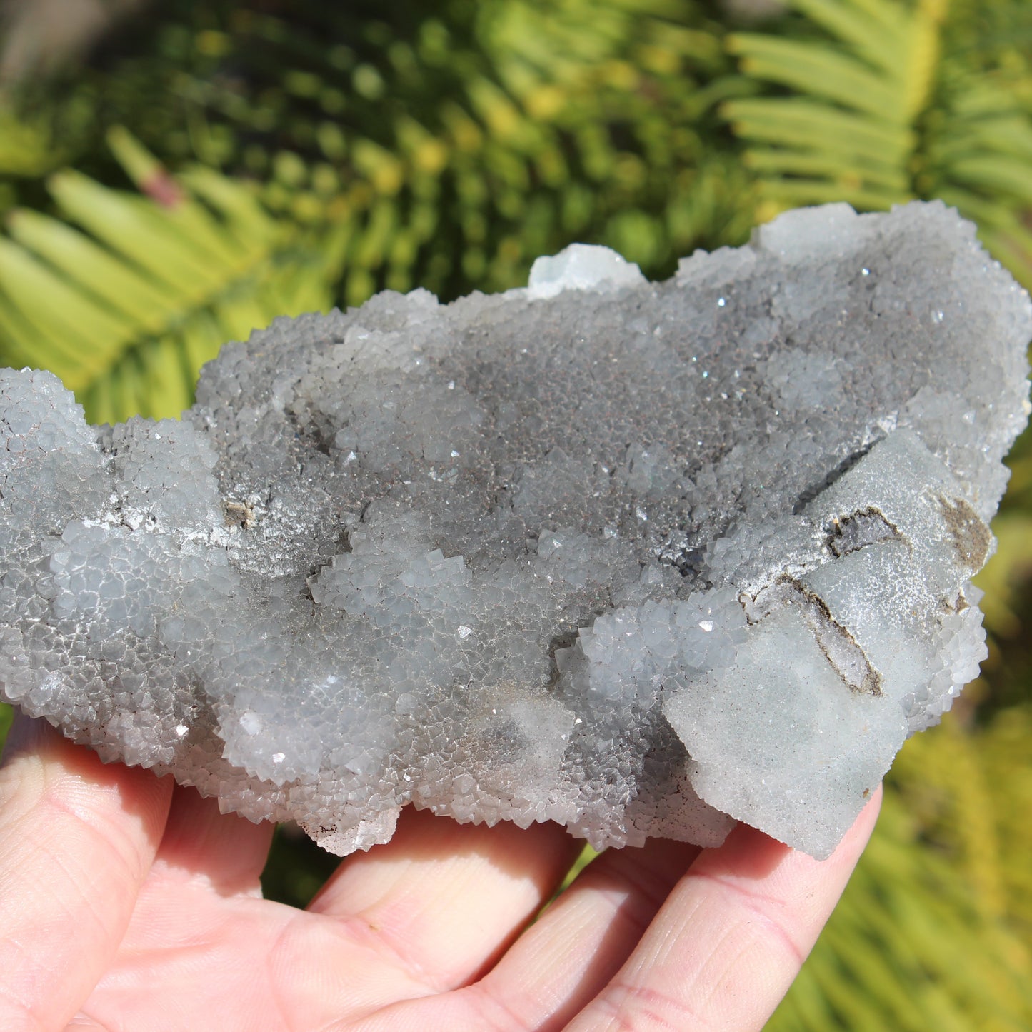 Green granulated cubic Fluorite cluster from Fujian 402g Rocks and Things