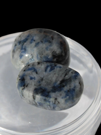 Sodalite two cabochons 5.2/5.3g Rocks and Things