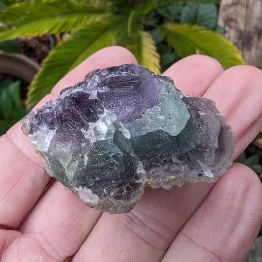 Fluorite cluster 74g Rocks and Things