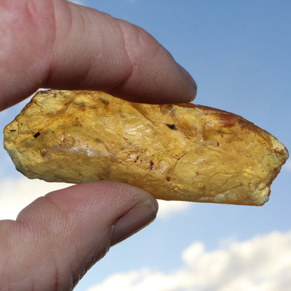 Amber with Cretaceous insects from Mynamar 6g Rocks and Things