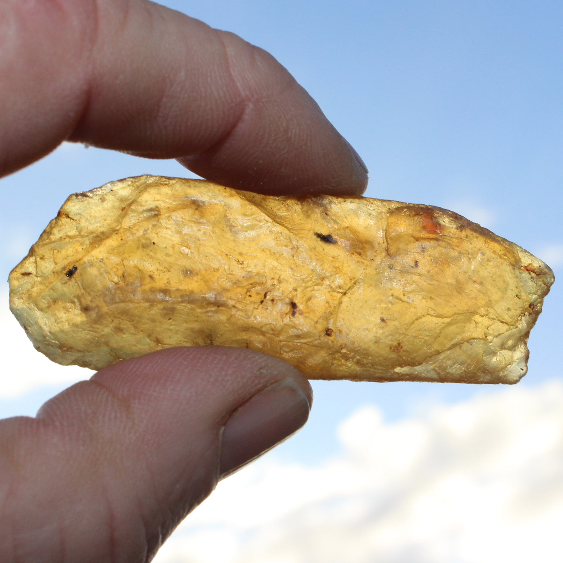 Amber with Cretaceous insects from Mynamar 6g Rocks and Things