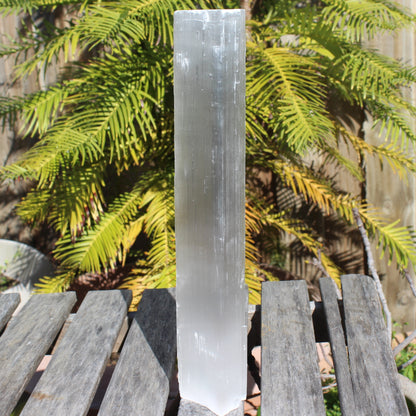 Selenite from Morocco 1181g Rocks and Things