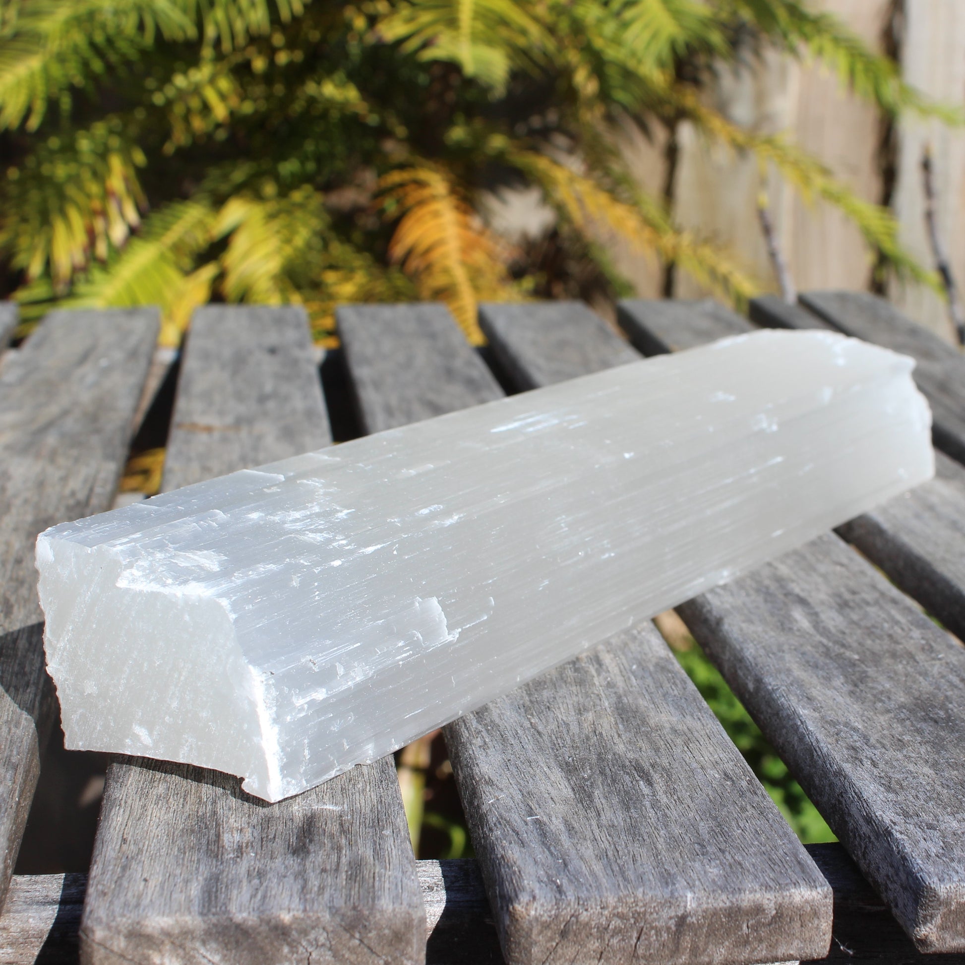 Selenite from Morocco 1181g Rocks and Things