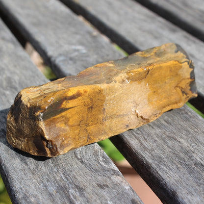 Petrified Wood from Queensland 270g