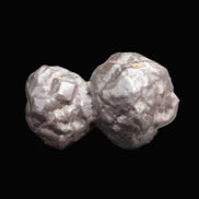 Carbonado Black Diamond from Egypt 19.5g - Rocks and Things Store