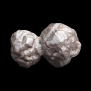 Carbonado Black Diamond from Egypt 19.5g - Rocks and Things Store