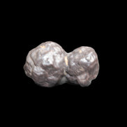 Carbonado Black Diamond from Egypt 19.5g - Rocks and Things Store