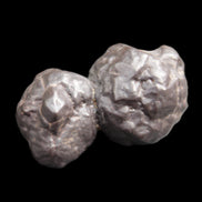 Carbonado Black Diamond from Egypt 19.5g Rocks and Things