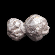 Carbonado Black Diamond from Egypt 19.5g - Rocks and Things Store