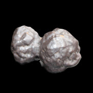 Carbonado Black Diamond from Egypt 19.5g Rocks and Things