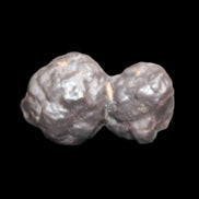 Carbonado Black Diamond from Egypt 19.5g - Rocks and Things Store