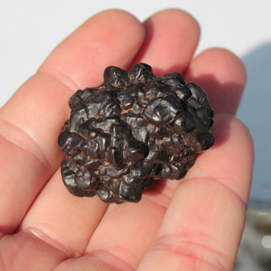 Carbonado Black Diamond from Egypt 47g Rocks and Things