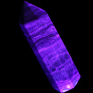 Caribbean Calcite Blue Aragonite wand 71g in UV light - Rocks and Things Store