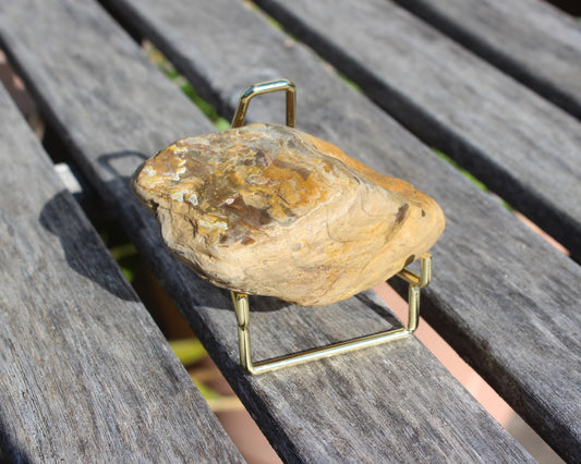 Petrified Wood from Queensland 244g Rocks and Things