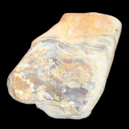 Petrified Wood from Queensland 244g in sunlight - Rocks and Things Store