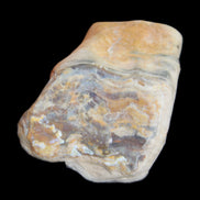 Petrified Wood from Queensland 244g in sunlight - Rocks and Things Store