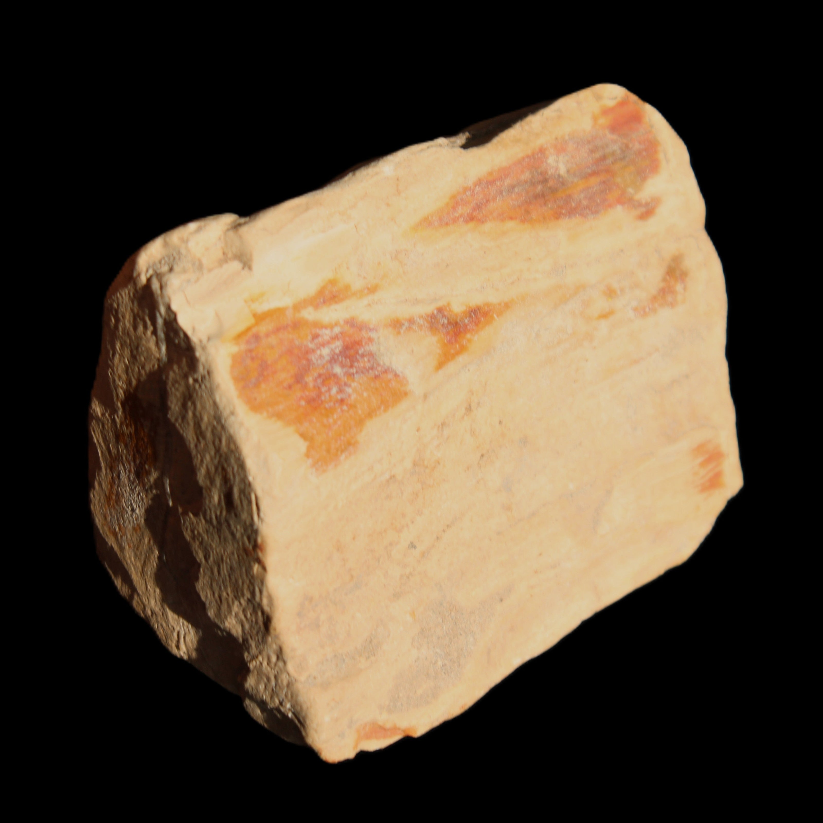 Petrified Wood from Queensland 239g in sunlight - Rocks and Things Store