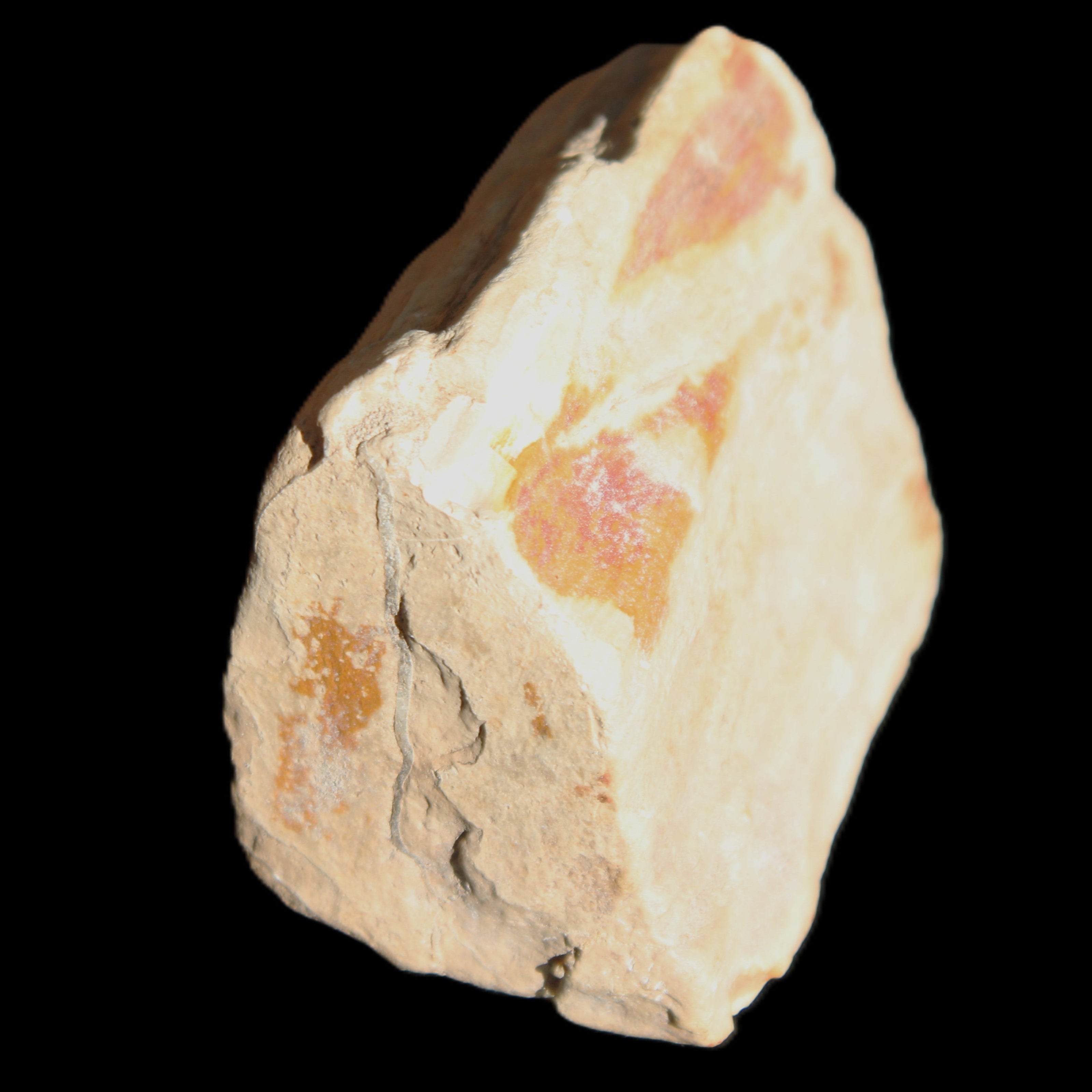 Petrified Wood from Queensland 239g in sunlight - Rocks and Things Store